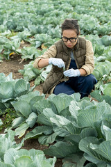 Serious female horticulturist in glasses and gloves putting sample of cabbage into test tube to...