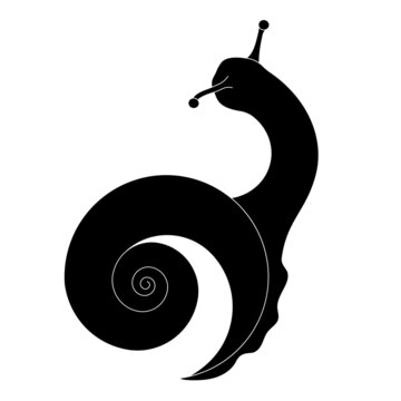 recommend clip art: Snail symbol. Isolated black snail silhouette on a white background. Snail icon. Vector illustration. For cream packaging and printing, web pages.