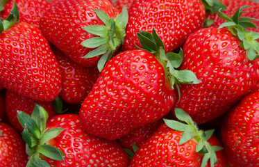 Natural fresh fruit background. Summer organic desert. Red tasty strawberries.