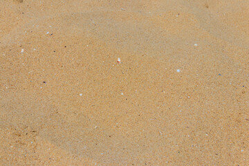 Yellow sand texture for background