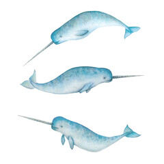 Set of watercolor narwhals isolated on white background © Olga