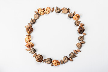 Wreath or Frame from Juglans cordiformis Maxim or heart-shaped walnut isolated on white background