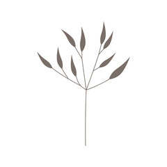 Boho hand drawn leaves