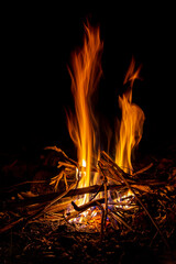 The best perfect campfire for love