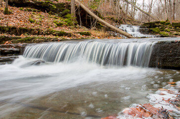 Obraz premium waterfall in the forest