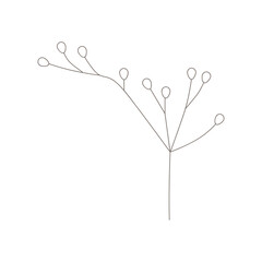 Boho hand drawn leaves