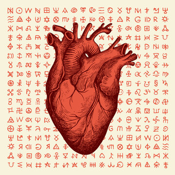 Vector banner with red human heart and magic runes on an old paper backdrop. Hand-drawn illustration of internal organ and esoteric symbols in retro style. Suitable for T-shirt design, tattoo, poster