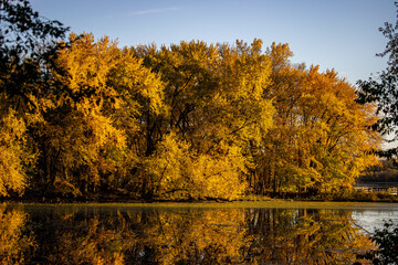 Obraz premium Fall afternoon at a national park. Reflection of Beauty.