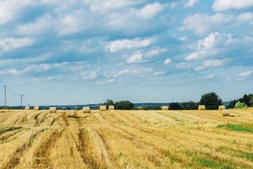 Fototapeta na wymiar Farming field landscape. Agriculture summer background. Countryside scenic view after harvesting. Piles of hay and blue cloudy sky.