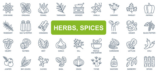 Herbs, spices concept simple line icons set. Bundle of star anise, oregano, vanilla, paprika, rosemary, salt, pepper, cinnamon and other. Vector pack outline symbols for website or mobile app design - obrazy, fototapety, plakaty