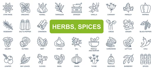 Poster Herbs, spices concept simple line icons set. Bundle of star anise, oregano, vanilla, paprika, rosemary, salt, pepper, cinnamon and other. Vector pack outline symbols for website or mobile app design © alexdndz