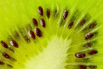 fresh green kiwi macro