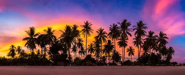 Fototapete Bora Bora, Französisch-Polynesien Schattenbildpalme bei Sonnenuntergang
