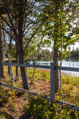 Fototapeta premium view of a pond through the trees