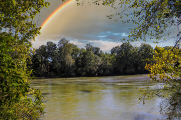 a shot of the silky green waters of the Chattahoochee river surrounded by lush green and autumn...