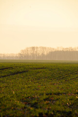 Autumn landscape 