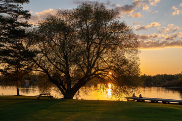 relaxing by the water at sunset tree silhouette
