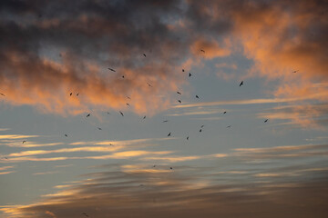 sunset over the lake