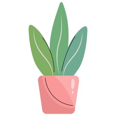 Ornamental houseplant in a pink pot. Adult sansevier or other succulent, leaves are large. Isolated vector illustrations for decorating postcards, interior templates. Flat style, delicate shades.
