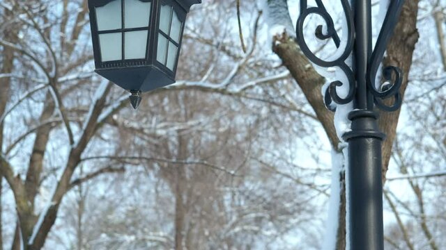 Winter park with a lantern. A view of lanters and trees under snow in the park in the day light.