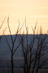 Fototapeta premium sunset on the lake