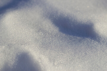 texture of clean snow with shadows in winter forest