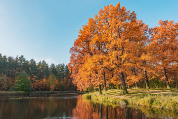 View of the city park by the lake at autumn morning.