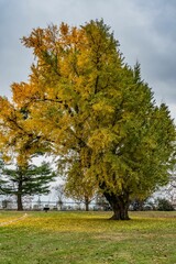 Fototapeta premium Fall Colors in the Soldiers National Cemetery, Gettysburg, Pennsylvania, USA