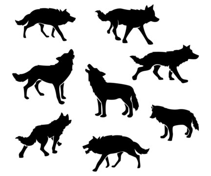silhouettes vector, set Design of Wolf, wolf in silhouette design