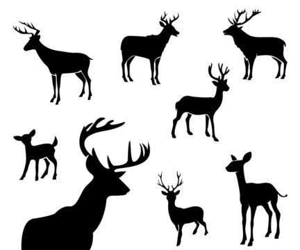 deer silhouette set, deer silhouette design