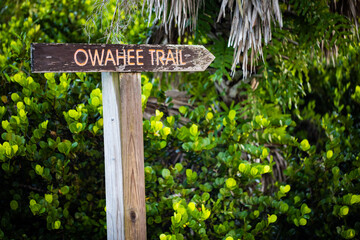 Old worn sign on the hiking trail