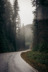 Obraz premium Mysterious road