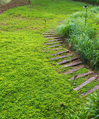 Wooden walkway with sunlight casted on in a modern hill resort in a tropical area during the afternoon.