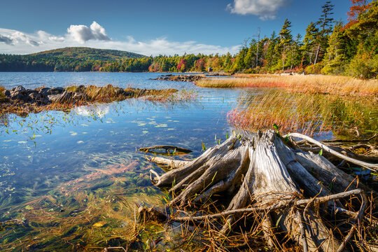 Eagle Lake in Acadia National Park