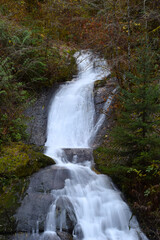 Fototapeta na wymiar Sweet Creek Falls 10