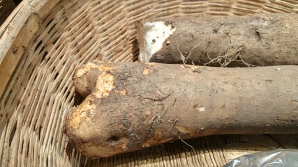 Close up of yam