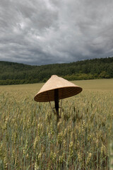 samurai hat on a sword in the field