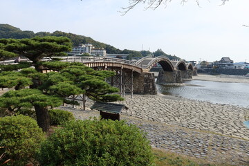 Naklejka premium A view of Kintai-kyou Bridge and Nishiki-gawa River in Iwakuni City in Yamaguchi Pref. in Japan 日本の山口県岩国市にある錦帯橋と錦川の一風景