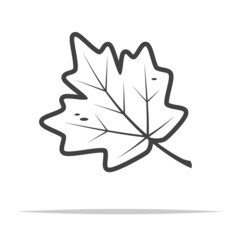 Autumn maple leaf icon transparent vector isolated