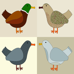 Set of vector brown  cute  ducks  on beige isolated background. Animal set.