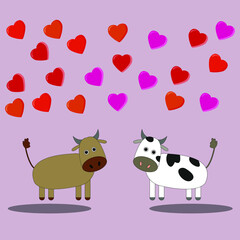 Cute loving cows look at each other hearts fly above them on pink isolated background