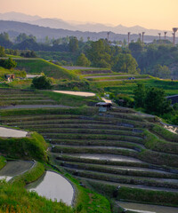 棚田