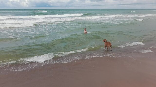 Boy Playing With Young Hungarian Vizsla Dog on Baltic Sea Summersuny Day.  Magyar Vizsla Hunting Dog