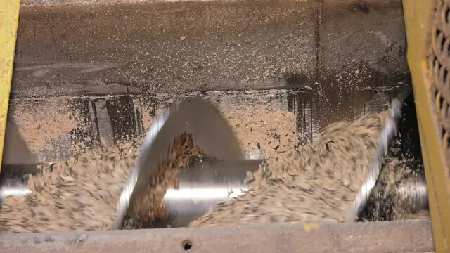 Modern equipment for peeling and roasting sunflower seeds.  Sunflower oil extraction. Sunflower seed processing.