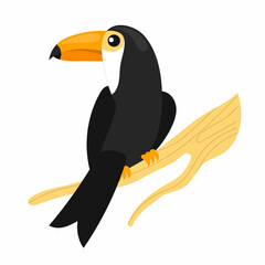 Toucan Sit on the branch white background with sticker design