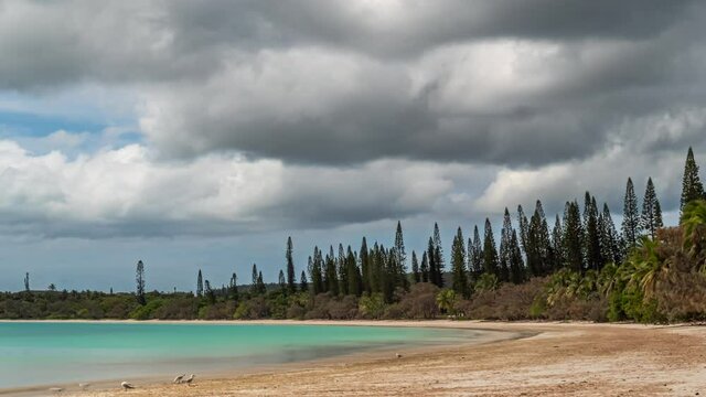 Kuto Beach on the Isle of Pines with iconic columnar pines in the background and a cloudscape overhead - time lapse