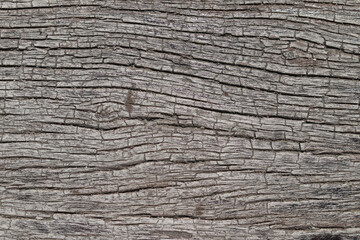 Surface wood texture background with natural pattern. Wooden floor in vintage style.