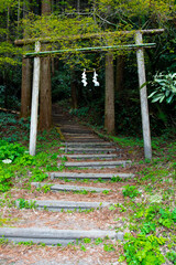 Shinmei Torii on the stairs