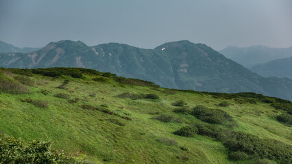 Fototapeta premium Green vegetation is visible on the hillside: grass and shrubs. A picturesque mountain range against the sky. Kamchatka.