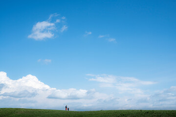 Fototapeta premium Beautiful blue sky